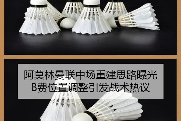 阿莫林曼联中场重建思路曝光 B费位置调整引发战术热议